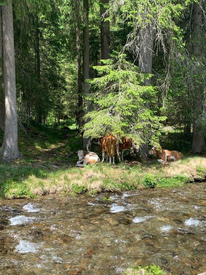 Landhaus Riesneralm Donnersbachwald Bagian luar foto